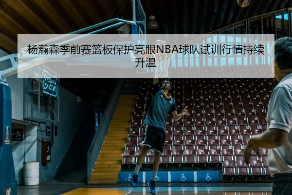 杨瀚森季前赛篮板保护亮眼NBA球队试训行情持续升温